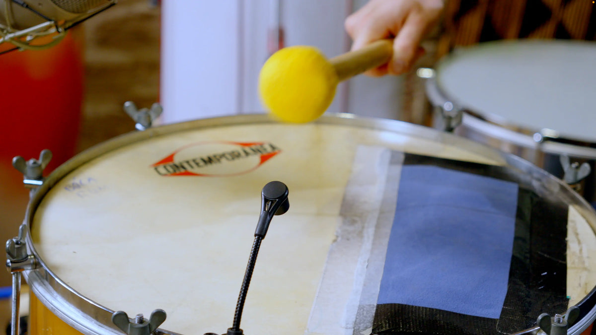 Surdo